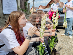 Румъния - Хогилаг - Фестивал на туберозите