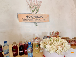 Румъния - Хогилаг - Фестивал на туберозите