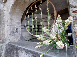 Румъния - Хогилаг - Фестивал на туберозите