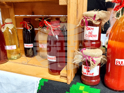 Румъния - Хогилаг - Фестивал на туберозите