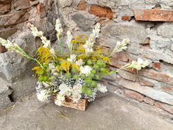 Румъния - Хогилаг - Фестивал на туберозите