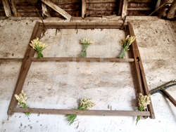 Румъния - Хогилаг - Фестивал на туберозите