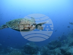 Climate Galapagos Islands