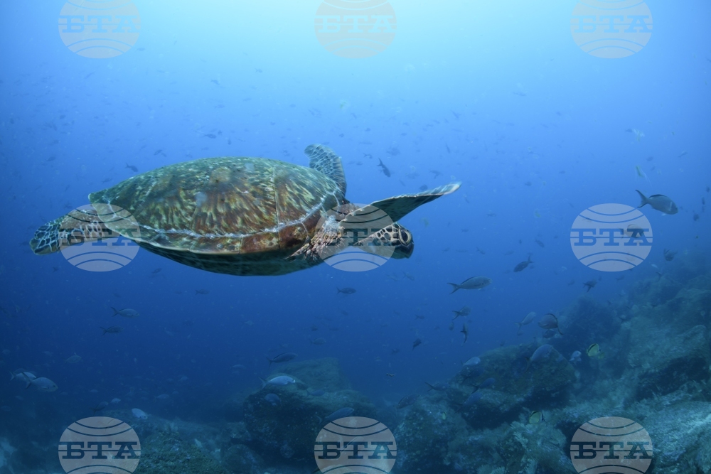 Climate Galapagos Islands