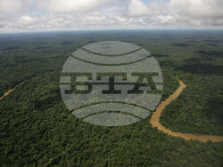 Ecuador Amazon Environment