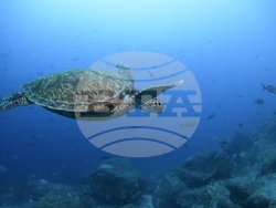 Ecuador Amazon Environment