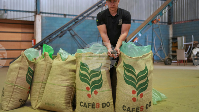 Световните цени на кафето спаднаха рязко, след като Доналд Тръмп отмени митата за Бразилия