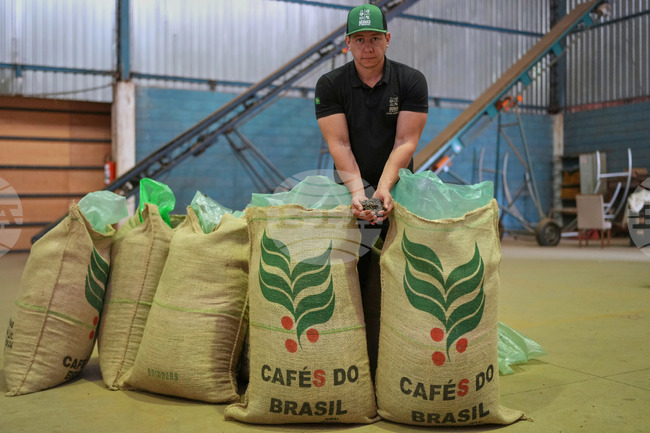 Световните цени на кафето спаднаха рязко, след като Доналд Тръмп отмени митата за Бразилия