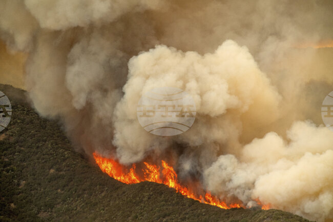 Трима души пострадаха, а над 800 сгради са застрашени от голям пожар в Калифорния