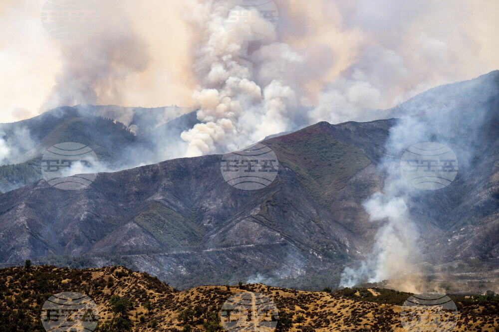 California Wildifires