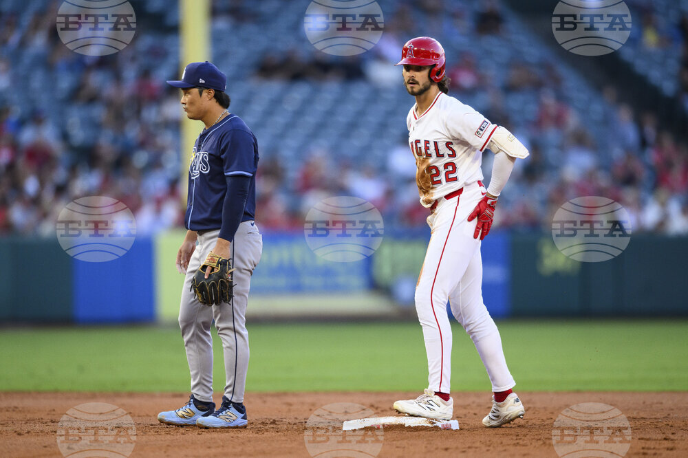 Rays Angels Baseball