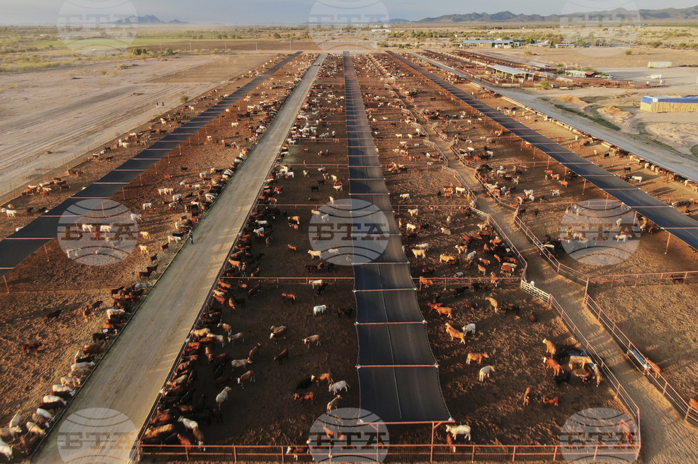 Mexico US Screwworm Ranchers