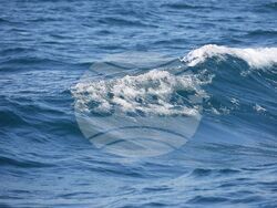 Созопол - потапяне на кораб - инициатива