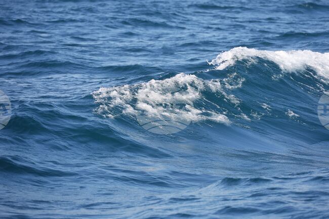 Russian Theatre Director Yuri Butusov Drowns Near Sozopol