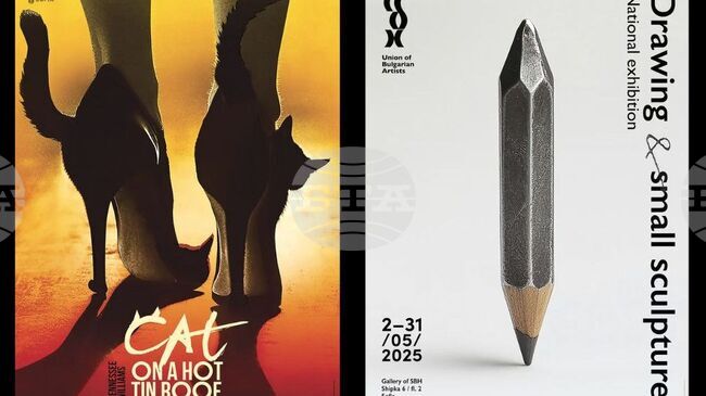 Two Posters by Bulgarian Radoslava Boor from Czechia Awarded Prizes at International Poster Competition in New Jersey