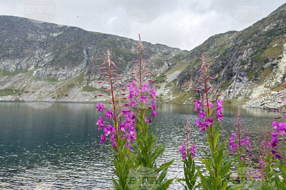 Добри са условията за туризъм, съобщиха от Планинската спасителна служба на БЧК