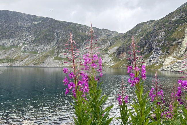 Excellent Mountain Hiking Conditions on Saturday