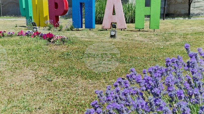 Хореографът Мария Атанасова е „Будител на 2025 година“ в община Чирпан