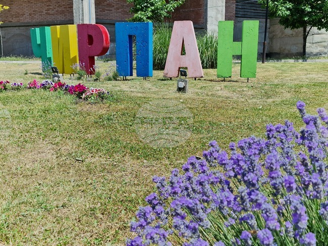 Хореографът Мария Атанасова е „Будител на 2025 година“ в община Чирпан