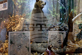 Варна - Природонаучен музей - изложба