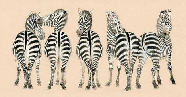 Художникът Юлиян Табаков представя изложба в Пловдив