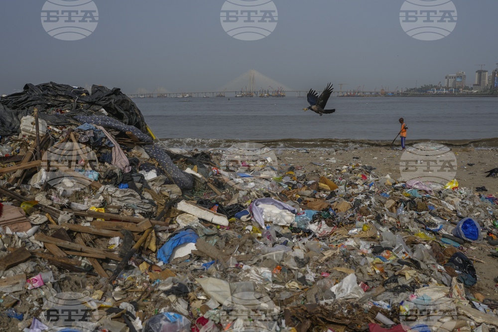 Plastic Pollution Treaty