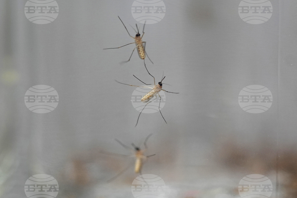 Gardening-Humane Pest Control