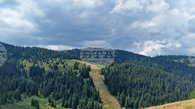 Good Mountain Hiking Conditions on Thursday