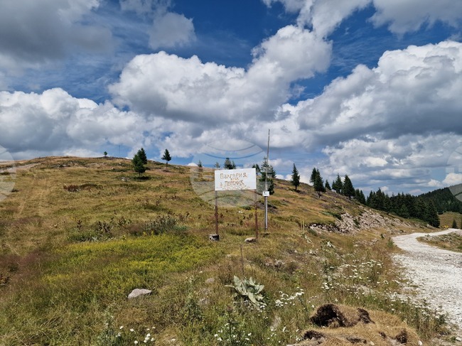 Good Mountain Hiking Conditions on Friday
