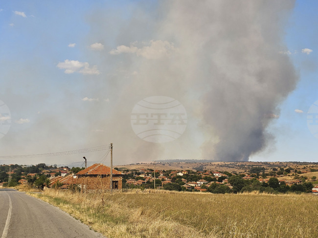 Потушени са 110 пожара в страната за последното денонощие