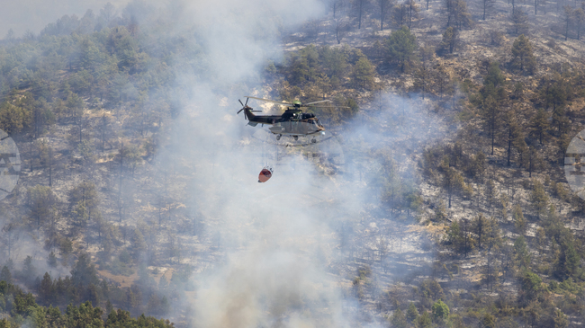 Продължава борбата с пожари в страната, в гасенето им се включиха вертолети „Кугар“ и шведски самолети 