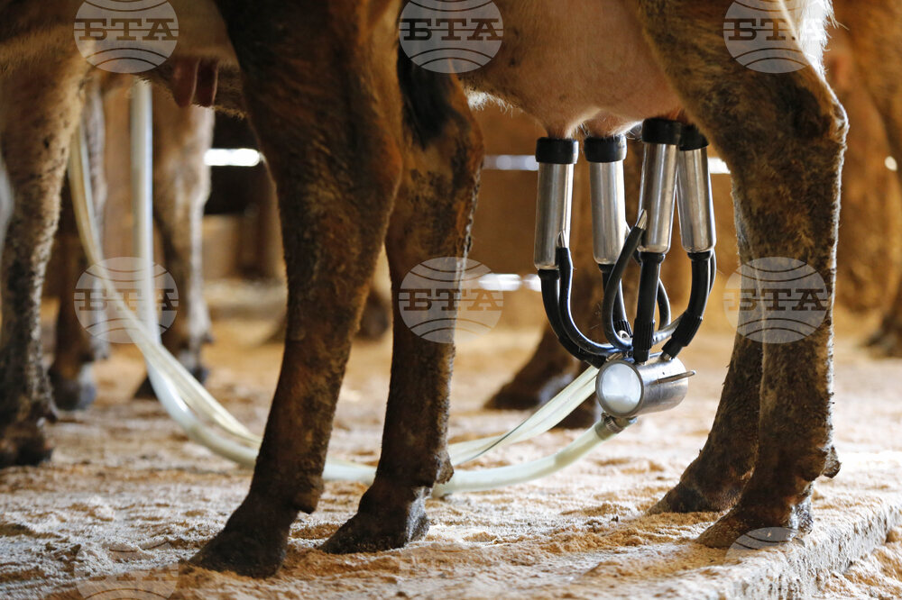 Raw Milk-Florida