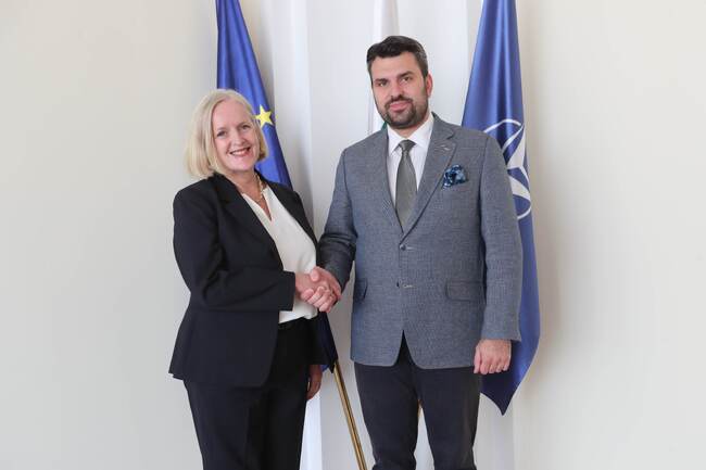 Bulgarian FM, Swedish Ambassador Discuss EU, NATO Cooperation