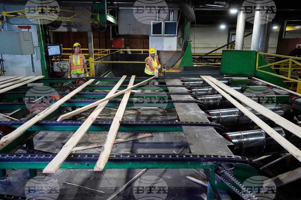Canada Sawmill