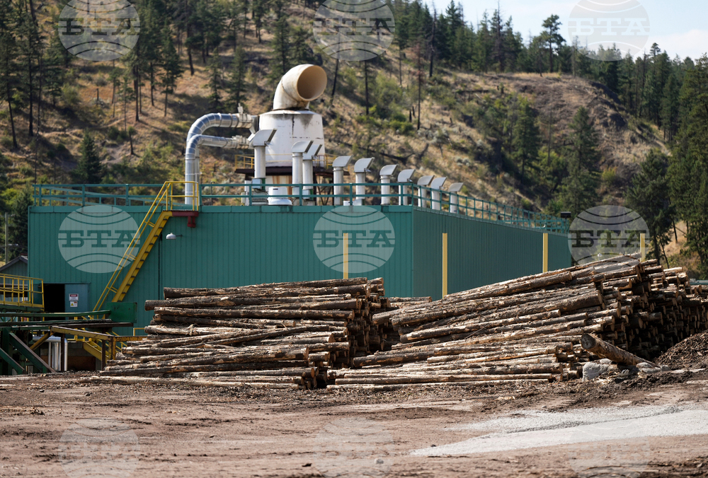 Canada Sawmill