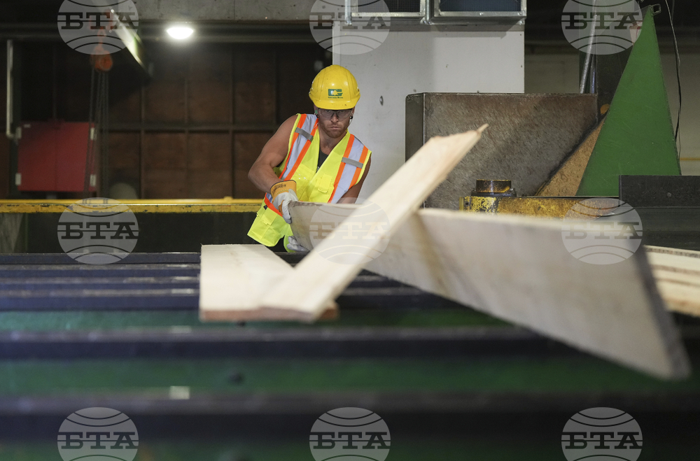 Canada Sawmill