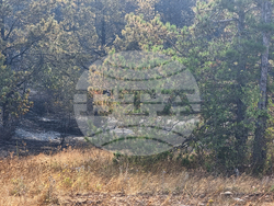 Балчик - пожар