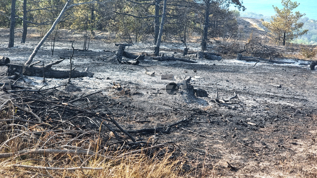 Wildfire Near Balchik Is Largely Contained, Some Hotspots Remain