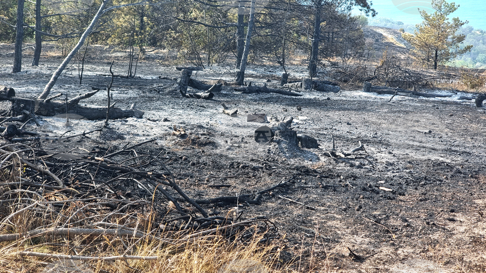 Пожарът край Балчик е овладян в по-голямата си част, на места има огнища