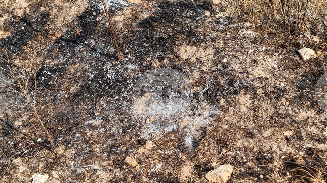 Образувано е досъдебно производство срещу мъж на 29 години за предизвикан пожар в гълъбовското село Главан