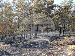 Балчик - пожар