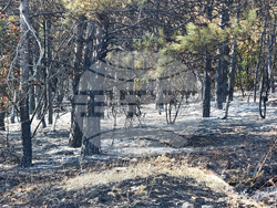 Балчик - пожар