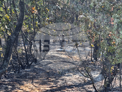 Балчик - пожар