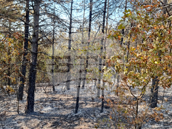 Балчик - пожар