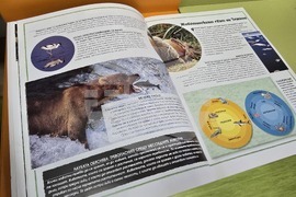 Благоевград  - Регионална библиотека ,,Димитър Талев“ - истории за мечки