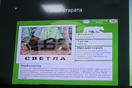 Благоевград  - Регионална библиотека ,,Димитър Талев“ - истории за мечки