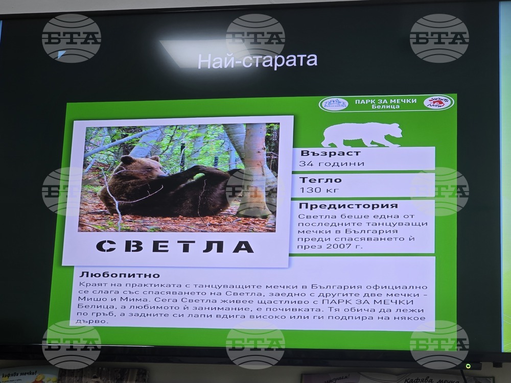 Благоевград - Регионална библиотека ,,Димитър Талев“ - истории за мечки