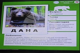 Благоевград  - Регионална библиотека ,,Димитър Талев“ - истории за мечки