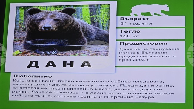 Истории за Парка за мечки в Белица и за неговите обитатели бяха разказани в Регионална библиотека „Димитър Талев“ в Благоевград