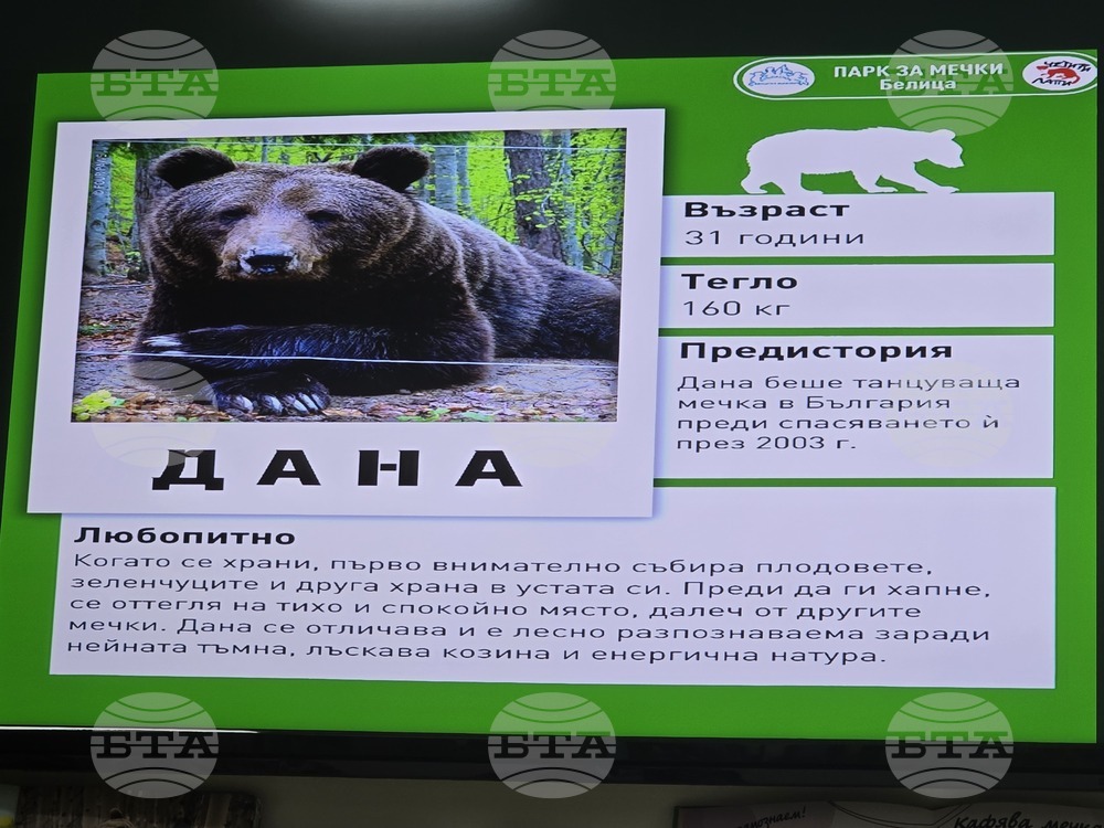 Истории за Парка за мечки в Белица и за неговите обитатели бяха разказани в Регионална библиотека „Димитър Талев“ в Благоевград